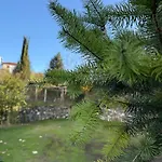 Rusi * Shirgjan